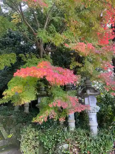 葛木坐火雷神社(奈良県)