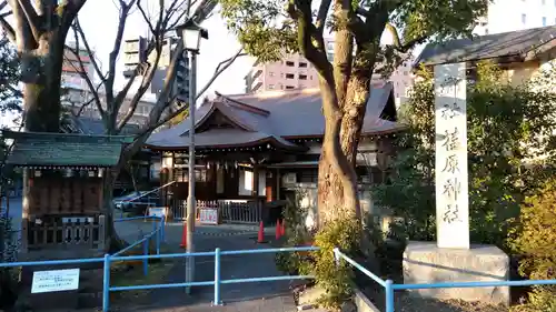 荏原神社のその他建物