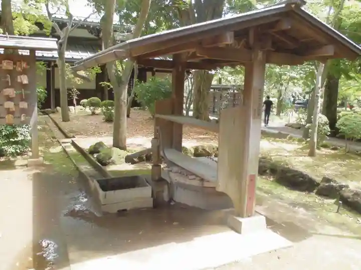 豪徳寺の手水舎