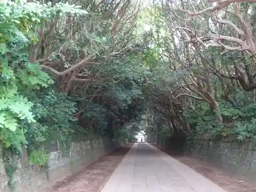 酒列磯前神社の自然