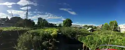 亀戸天神社(東京都)