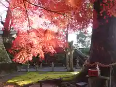 事任八幡宮の景色