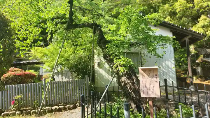 大蔵寺(福島県)