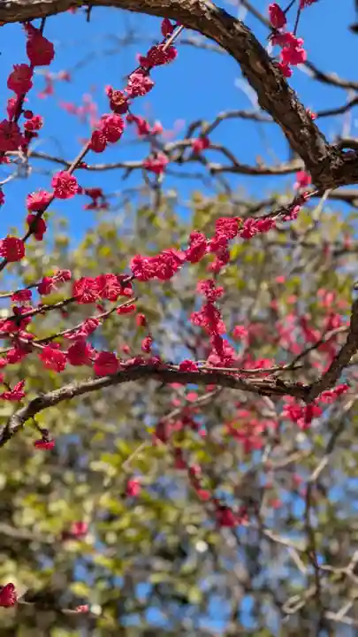 薭田神社(東京都)