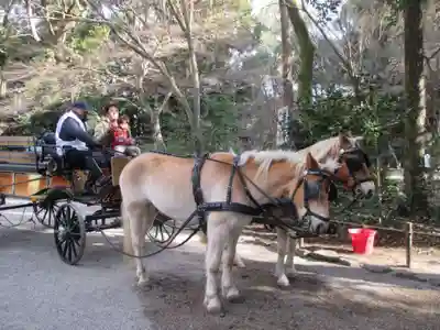 賀茂御祖神社（下鴨神社）(京都府)