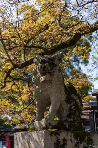 松尾大社の狛犬