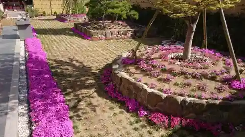 寿量山　速成寺のお墓