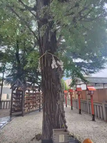 草加神社(埼玉県)