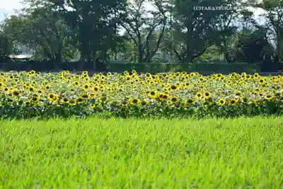 天照皇大神宮(神奈川県)