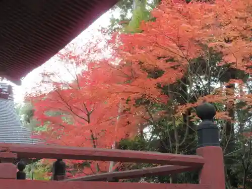 柏原八幡宮(兵庫県)