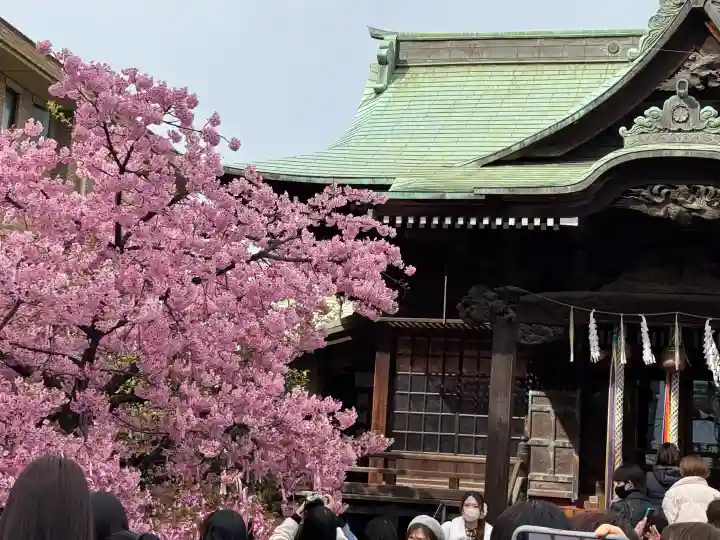 桜神宮の{uncategorized: "未分類", other: "その他", undefined: "問題あり", building: "その他建物", grave: "お墓", sacred_gate: "鳥居", guardian: "狛犬", statue: "像", buddha: "仏像", history: "歴史", nature: "自然", garden: "庭園", animal: "動物", pagoda: "塔", temizu: "手水舎", mountain_gate: "山門・神門", sanctuary: "本殿・本堂", subordinate: "末社・摂社", art: "芸術", scenery: "景色", jizo: "地蔵", ema: "絵馬", goshuin: "御朱印", omikuji: "おみくじ", items: "授与品その他", amulet: "お守り", goshuincho: "御朱印帳", eats: "食事", festival: "お祭り", votive_dance: "神楽", shichigosan: "七五三参", wedding: "結婚式", experience: "体験その他", initially: "初詣", around: "周辺", anti_infection: "感染症対策"}