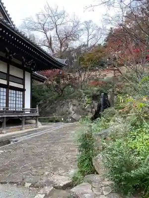 妙蓮寺のその他建物