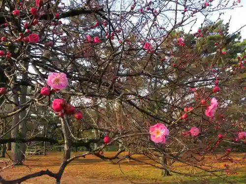 白雲神社の自然