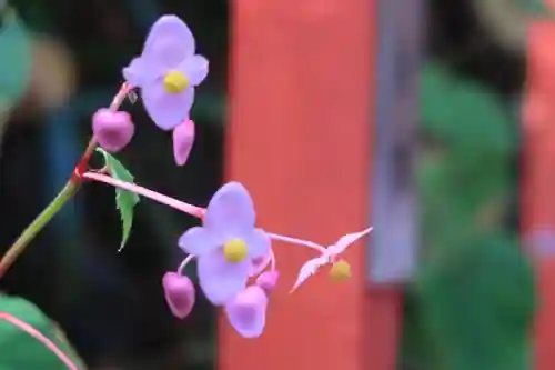 貴船神社の自然