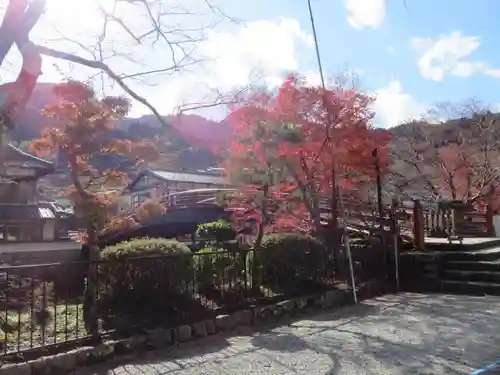 室生寺の景色