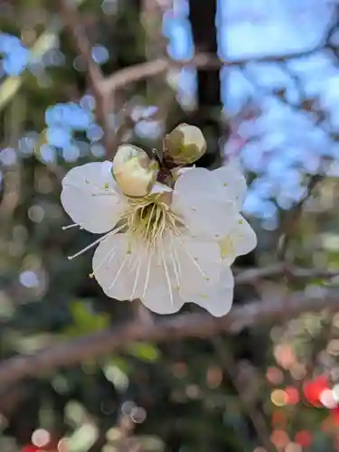 馬橋稲荷神社(東京都)