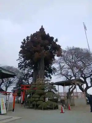 愛宕神社(宮城県)