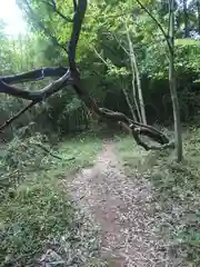 賀茂別雷神社(栃木県)