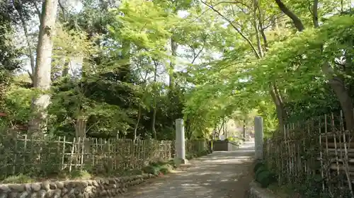 観音寺(千葉県)