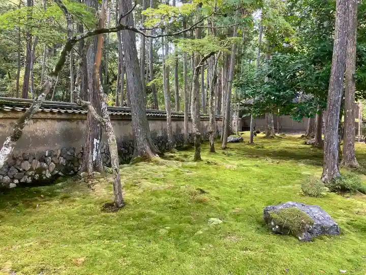 西芳寺(京都府)