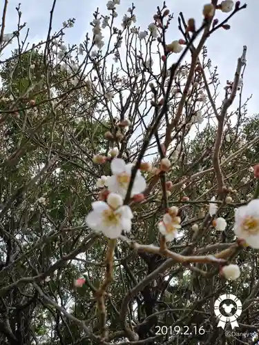 太宰府天満宮の自然
