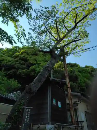 宝勝寺(神奈川県)