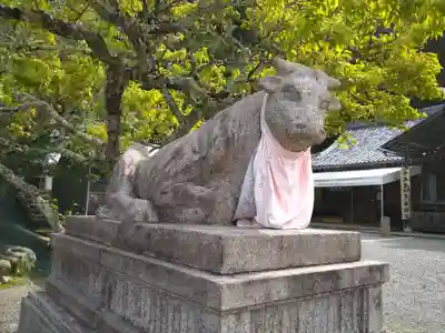 法輪寺の体験その他