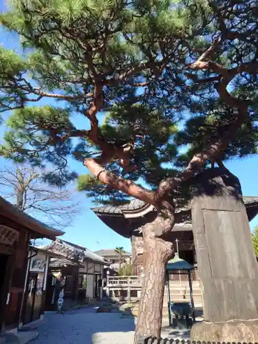神門寺(埼玉県)