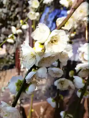 圓照寺(東京都)