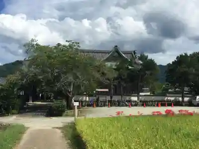 橘寺の本殿・本堂