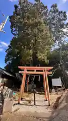 八坂神社(京都府)