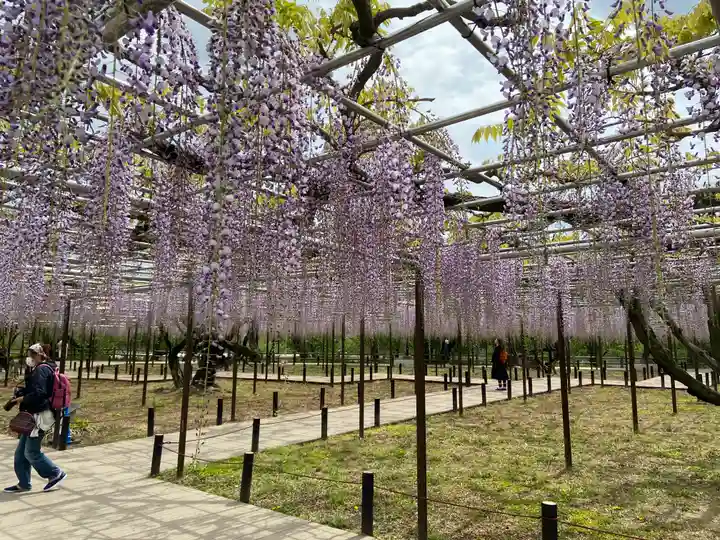 龍城神社の庭園