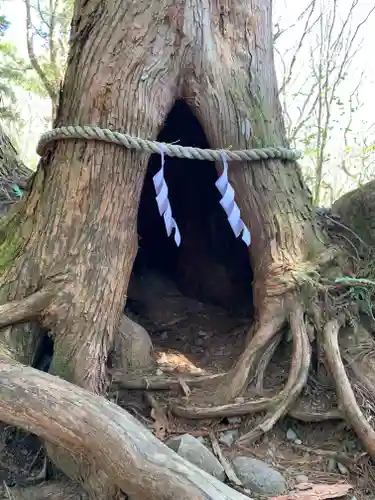 戸隠神社奥社の周辺
