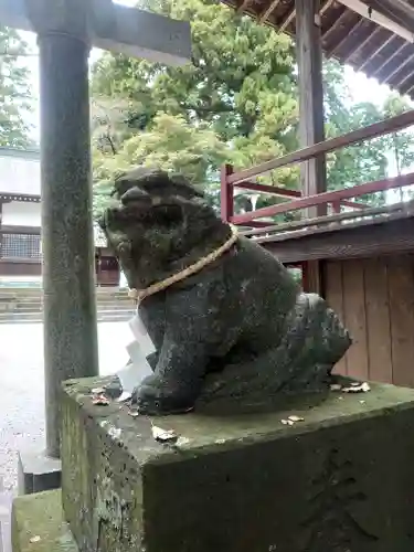 出雲祝神社の狛犬