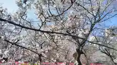 平野神社の庭園