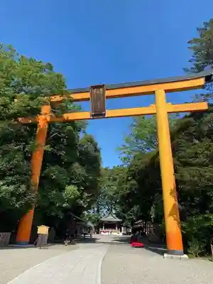 川越氷川神社(埼玉県)