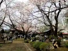 実相寺の自然