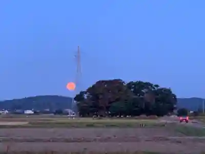 吾妻神社の景色