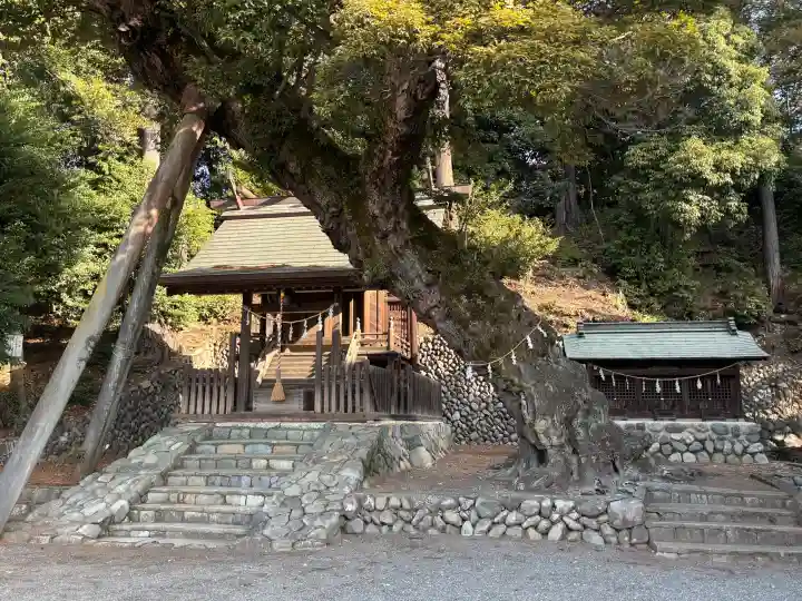 千ケ瀬神社の{uncategorized: "未分類", other: "その他", undefined: "問題あり", building: "その他建物", grave: "お墓", sacred_gate: "鳥居", guardian: "狛犬", statue: "像", buddha: "仏像", history: "歴史", nature: "自然", garden: "庭園", animal: "動物", pagoda: "塔", temizu: "手水舎", mountain_gate: "山門・神門", sanctuary: "本殿・本堂", subordinate: "末社・摂社", art: "芸術", scenery: "景色", jizo: "地蔵", ema: "絵馬", goshuin: "御朱印", omikuji: "おみくじ", items: "授与品その他", amulet: "お守り", goshuincho: "御朱印帳", eats: "食事", festival: "お祭り", votive_dance: "神楽", shichigosan: "七五三参", wedding: "結婚式", experience: "体験その他", initially: "初詣", around: "周辺", anti_infection: "感染症対策"}