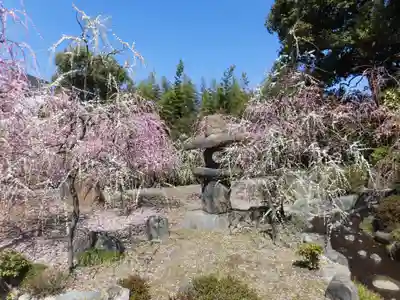 城南宮(京都府)