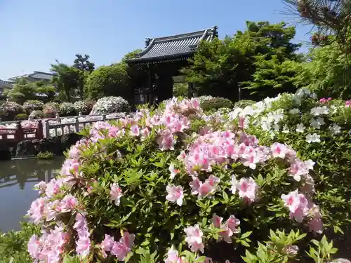 妙満寺の庭園