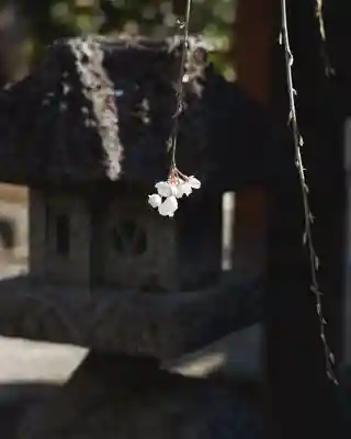 慈眼寺(群馬県)