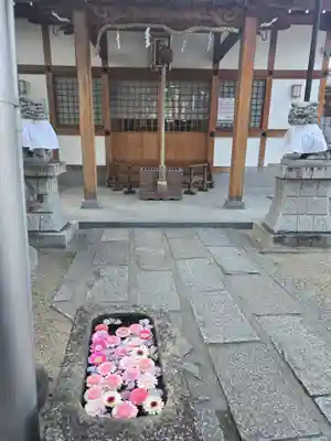 野見神社(大阪府)