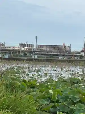 住吉神社(兵庫県)