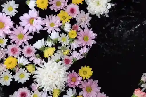 大鏑神社の手水