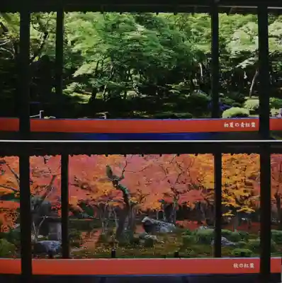 圓光寺(京都府)