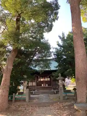 井細田八幡神社(神奈川県)