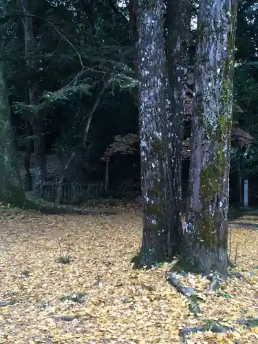 西寒多神社(大分県)