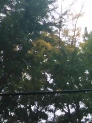 熊野福藏神社(福島県)