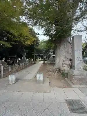 雀神社(茨城県)
